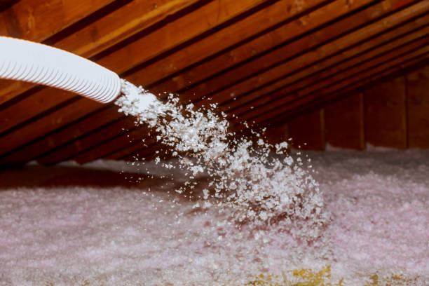 Best Residential Insulation in Bensley, VA