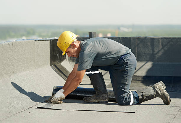 Best Commercial Insulation in Bensley, VA