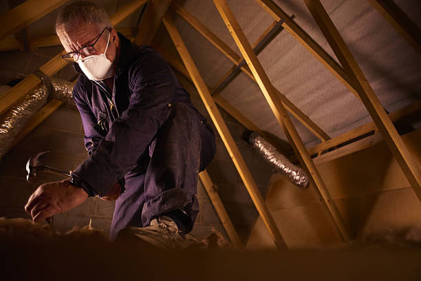 Best Insulation Materials and Products in Bensley, VA
