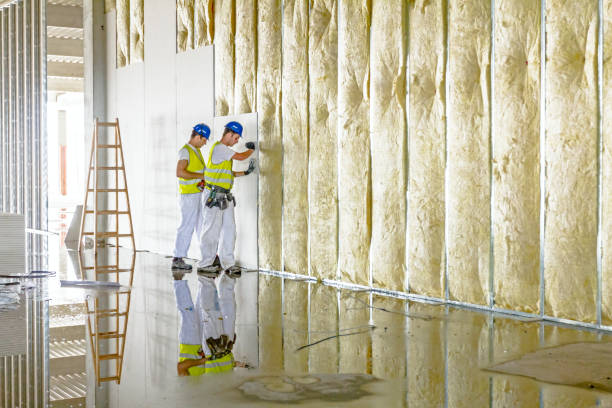 Best Insulation Installation Services in Bensley, VA